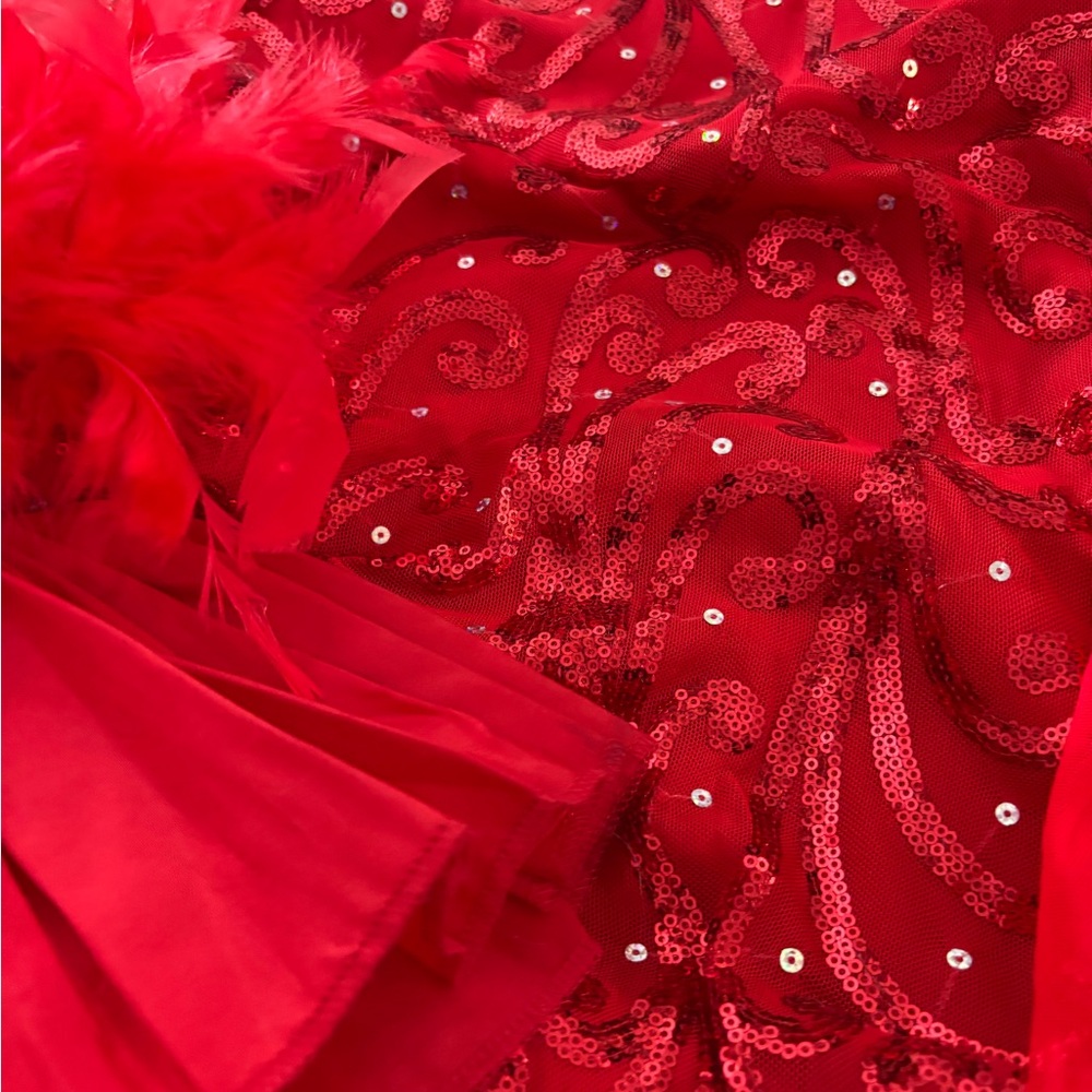 Weissman Matadora red sequin & feather bustle adult L ♥️ - Picture 4 of 6